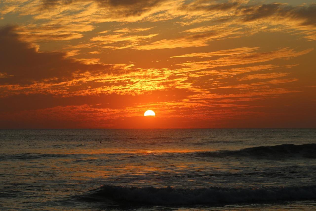 El Gato Rojas Surf Hostel Playa Santa Teresa  المظهر الخارجي الصورة