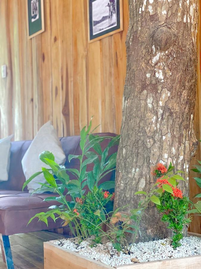 El Gato Rojas Surf Hostel Playa Santa Teresa  المظهر الخارجي الصورة