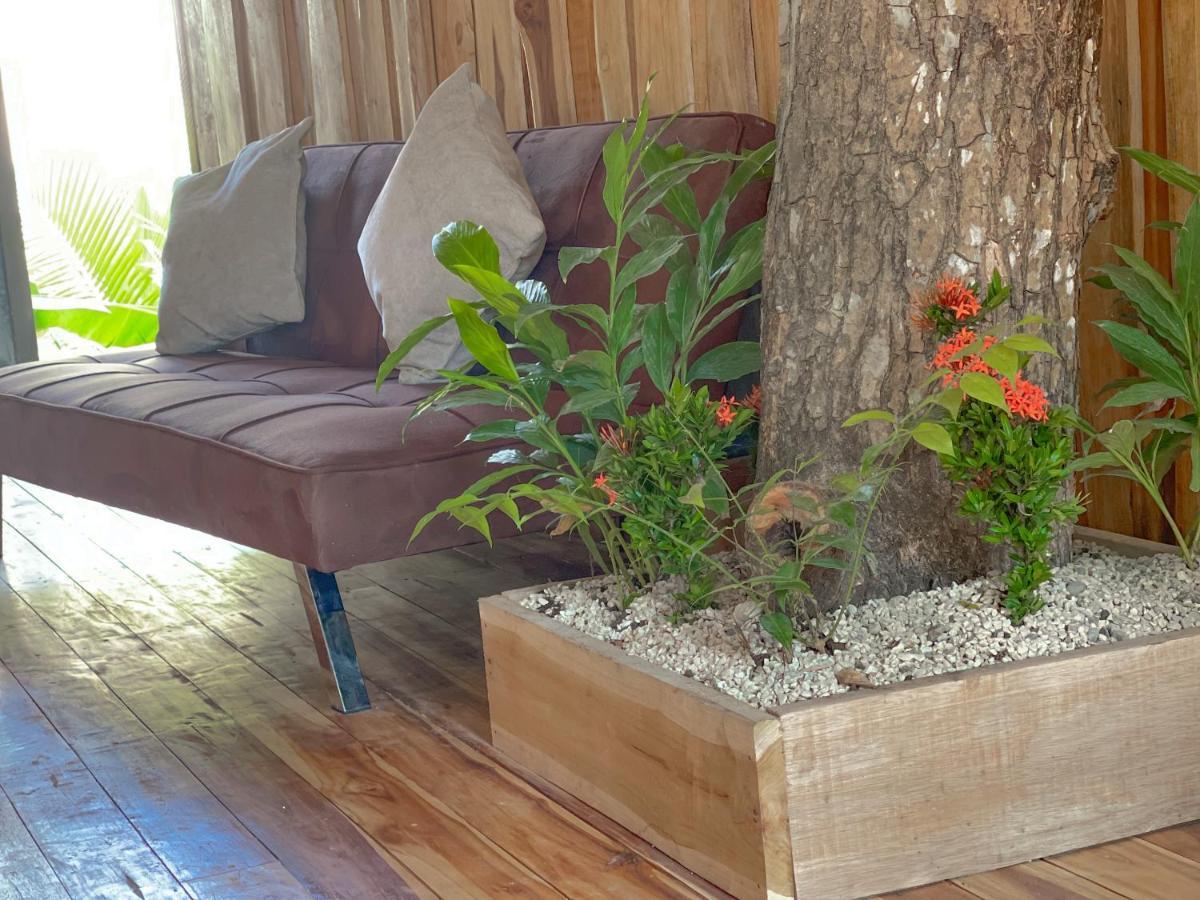 El Gato Rojas Surf Hostel Playa Santa Teresa  المظهر الخارجي الصورة