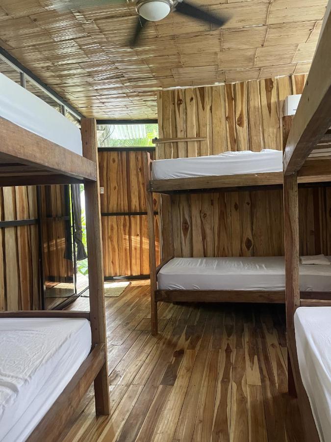 El Gato Rojas Surf Hostel Playa Santa Teresa  المظهر الخارجي الصورة