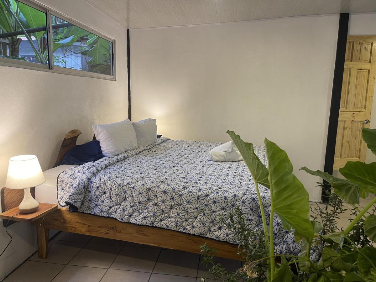 El Gato Rojas Surf Hostel Playa Santa Teresa  المظهر الخارجي الصورة