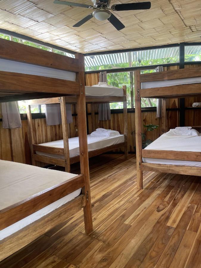 El Gato Rojas Surf Hostel Playa Santa Teresa  المظهر الخارجي الصورة